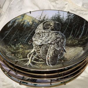 Owl Plate Danbury Mint The Owls of North America 1994 set of 5 plates!